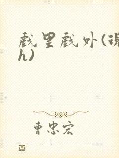 戏里戏外(现场h)