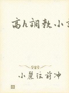 高h调教小说