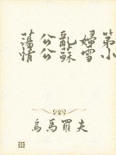 荡公乱妇第1章情公苏雪小说封面
