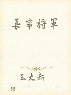 长宁将军封面