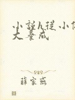 小说h从小做到大养成
