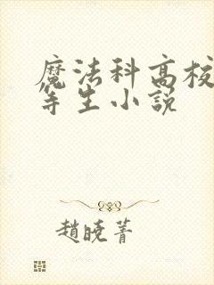 魔法科高校的劣等生小说