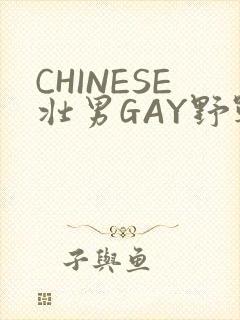 CHINESE壮男GAY野战强迫TUBE封面