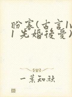 盼寡(古言1v1 先婚后爱)