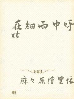 在细雨中呼喊txt