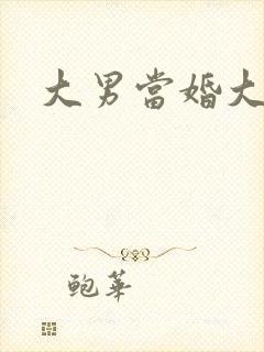 大男当婚大结局