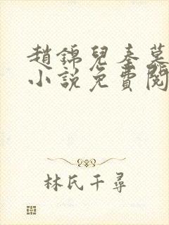 赵锦儿秦慕修的小说免费阅读全文