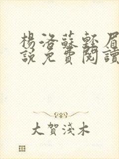 杨洛苏轻眉笔小说免费阅读封面