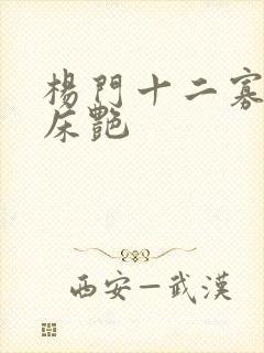 杨门十二寡妇肉床艳