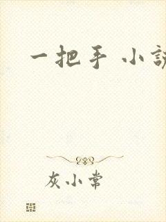 一把手 小说