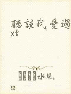 听说我爱过你txt