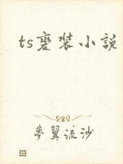 ts变装小说