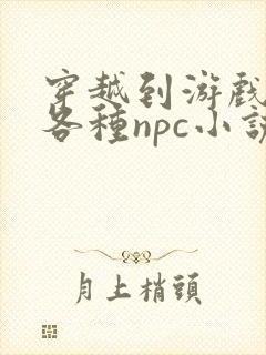 穿越到游戏里和各种npc小说