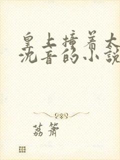 皇上撞着太子妃沈音的小说叫什么封面