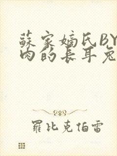 苏家嫡氏BY吃肉的长耳兔