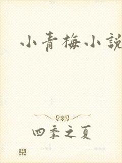 小青梅小说