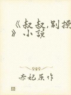 《叔叔,别撩我》小说封面