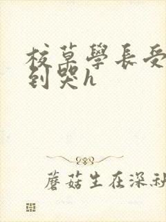 校草学长受被做到哭h封面