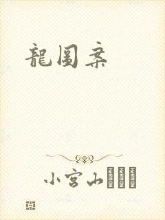龙图案