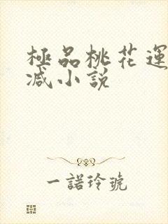 极品桃花运未删减小说