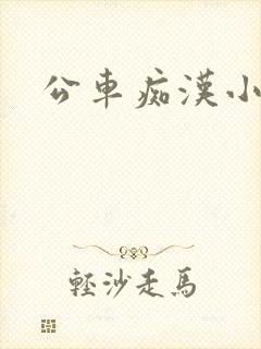 公车痴汉小说封面