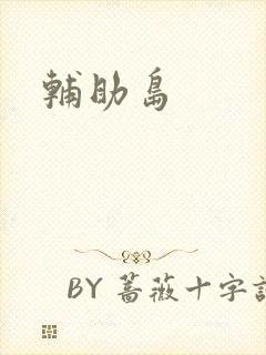 辅助岛