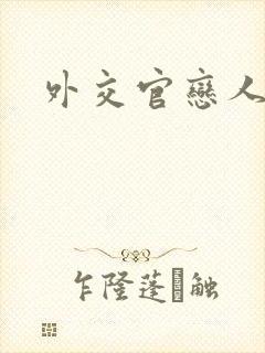 外交官恋人小说