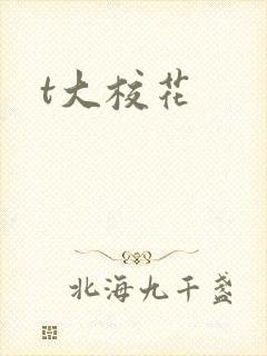 t大校花