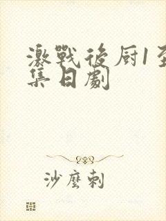 激战后厨1至5集日剧封面