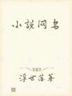 小说网名