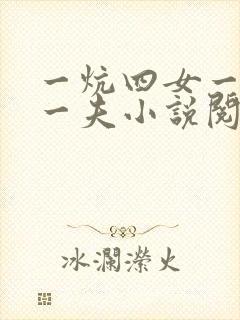 一炕四女一共侍一夫小说阅读封面