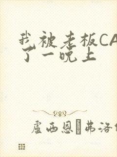 我被老板CAO了一晚上