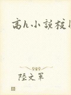 高h小说校园封面