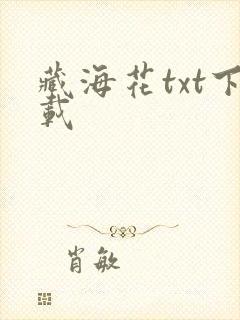 藏海花txt下载