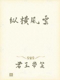纵横风云封面