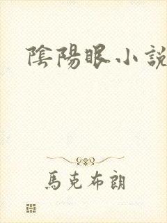 阴阳眼小说