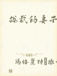 总裁的妻子