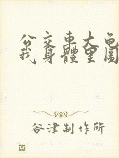 公交车大龟廷进我身体里图封面