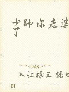 少帅你老婆又跑了