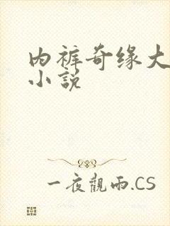 内裤奇缘大团结小说封面