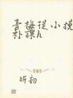 青梅从小摸到大补课h封面