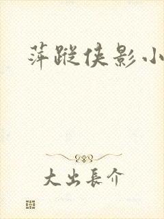 萍踪侠影小说