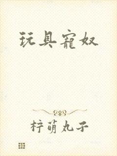 玩具宠奴