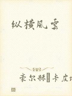 纵横风云