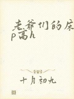 老爷们的床奴np高h