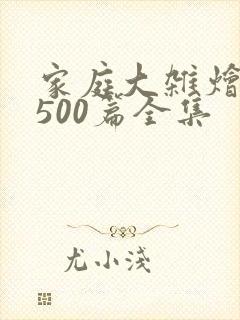 家庭大杂烩小说500篇全集