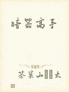 暗器高手