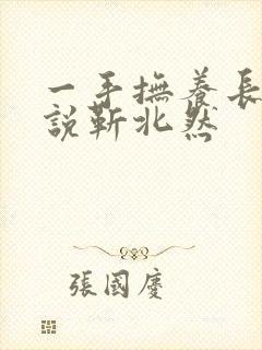 一手抚养长大小说靳北然封面