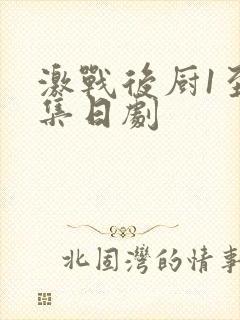 激战后厨1至5集日剧