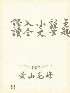 锋入小说免费阅读全文笔趣阁封面